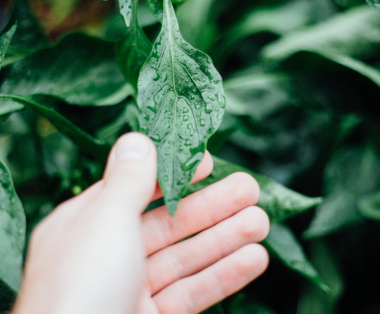 ryan-jacobson-MNXLADfHZO8-unsplash